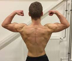 Training ist nur die halbe miete. Muskelaufbau Zuhause Training Ernahrung Trainingsplan