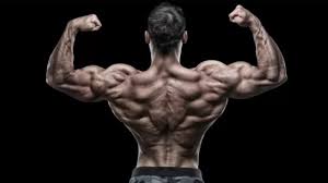 ﻿ ﻿﻿ it also underscores the importance of doing a lower back workout. 3 Essential Exercises For A Stronger Lower Back Spotmebro Com
