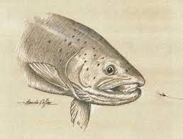 Lunch On The Run Fishing Photography Travel Fishing Rod Fish