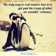 Funny penguin quotes cute penguin quotes i love you quotes for boyfriend emperor penguin quotes abraham lincoln quotes albert einstein quotes bill gates quotes bob marley quotes. Romantic Quotes The Only Way To Real Mature Love Is To Get