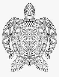 Baby sea turtles are the cutest thing. Sea Turtle Line Drawing Mandala Animal Colouring Pages Hd Png Download Transparent Png Image Pngitem