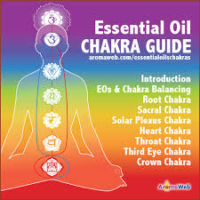 Introduction To The Chakras And Essential Oils Aromaweb