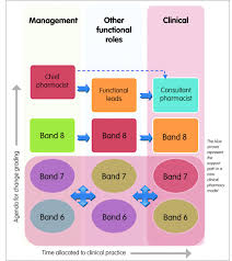 Hospital Pharmacists Contribution A Perspective Hospital