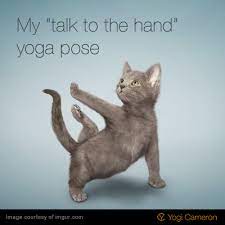 Pin By Karmicfit On Namaste Cat Yoga Cats Funny Cat Photos