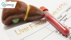 Image result for Liver Function Test
