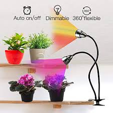 We did not find results for: Best Grow Lights Reviewed By Succulent Lovers Succulent City