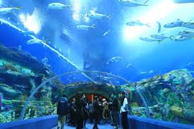 Le centre national de la mer, également appelé nausicaá, est aussi le plus grand aquarium d'europe, et le quatrième au niveau. Photos De Chine Le Plus Grand Aquarium Du Monde Chine Informations