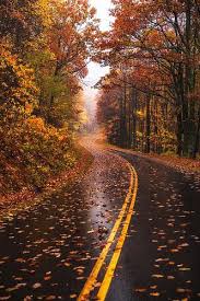 We have a lot of different topics like nature, abstract and a lot more. 40 Free Amazing Fall Wallpaper Backgrounds For Iphone