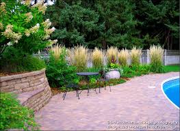 Twin Cities Pool Patio Renovation 4 Of 4 Massed Ornamental Grasses The Pool Setting Is Surround Pool Landscaping Plants Ornamental Grasses Pool Landscaping