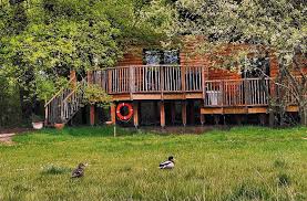 Profile for Beneath The Branches