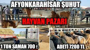 Afyon şuhut hayvan pazarı 22 şubat 2020. Afyon Hayvan Pazari Hangi Gun