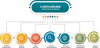 Pin By Curiousrubik On Curiousrubik Netsuite Partners