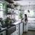 Kitchen Plants Png