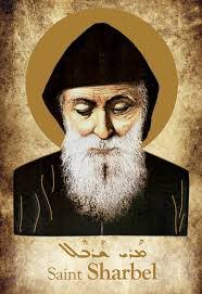 Alex Youssef's Instagram, Twitter & Facebook