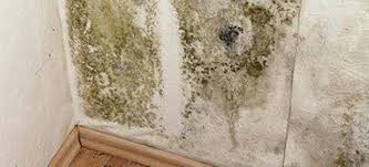 Comment lutter contre moisissure murs. Nettoyer Les Moisissures Sur Un Mur Remedes De Grand Mere Enlever Moisissure Mur Enlever Les Taches De Moisissure Moisissure