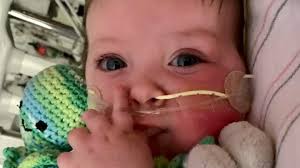 Fundraiser for Travis Stefanski by Elli Rinaldi : Henry James Stefanski