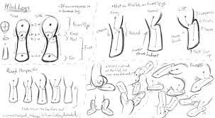 Mlp Basic Anatomy Study 3 Hind Legs By Dshou On Deviantart My Little Pony Drawing Cartoon Drawings Pony Drawing