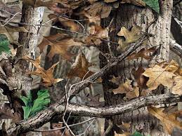 See camo background stock video clips. Hunting Camo Wallpapers Top Free Hunting Camo Backgrounds Wallpaperaccess