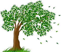 Pin lilith sammael tree plan tree plan png. Download Tree Transparent Clipart Picture Transparent Background Tree Clipart Full Size Png Image Pngkit