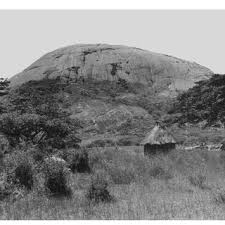 Image result for Lindernia conferta