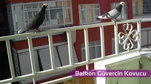Balkon Guvercin Kovucu Urunler Plastik Kuskonmaz Kus Kovucu Bariyer Urunleri