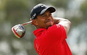 2001 Players Championship Winner World No 1 Tiger Woods Tiger Woods Sports Famous Golfers
