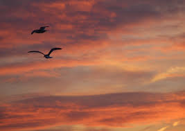 Abschied Von Juist Juist Blog
