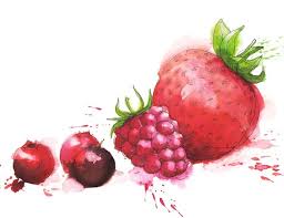 Simple Lines Loose Colour Food Illustrations Watercolor Food Georgina Luck