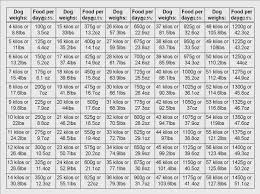 45 Rigorous Rottweiler Food Chart