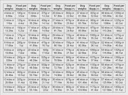 45 rigorous rottweiler food chart