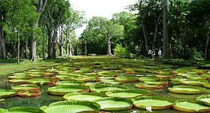 Image result for image of MAURITIUS tourism place