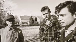 Book News: Files Said To Contradict 'In Cold Blood' May See Light Of Day :  The Two-Way : NPR