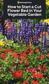 The ultimate guide to gardening for beginners. How To Start A Cut Flower Bed In Your Vegetable Garden