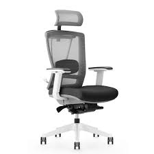 From modern elegance chair to budget office. Ergochair 2 0 Malaysia Flexispot Malaysia