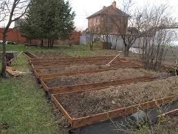 Proverennye Sposoby Borby S Sornyakami Home And Garden Livejournal