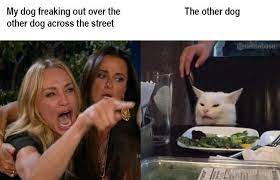 Pin On Funny Memes