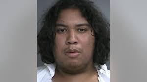 New York man fatally stabs teen brother while he's playing video games,  officials say