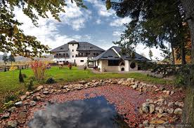 Oferte craciun cu taierea porcului bucovina. Cele Mai Bune Oferte De Revelion In Raiul Din Bucovina