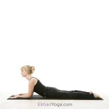 Yoga Poses Ekhart Yoga Yoga Poses Backbend Poses Beginner Poses