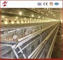 China Wooden Hen Cage, Wooden Hen Cage Wholesale, Manufacturers, Price |  Made-in-China.com