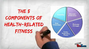 Cardiorespiratory endurance, body composition, muscular . The 5 Components Of Health Related Fitness Video Dailymotion