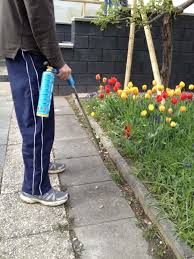 To avoid killing other nearby plants with the substance, create a 3:1 solution of water and salt and use a spray bottle to apply it directly. 14 Tips Get Rid Of Weeds From The Garden Once And For All