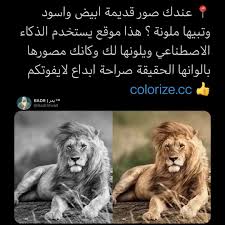 Pin By منوعات مفيدة On مواقع Photo Video App Good Photo Editing Apps App Pictures