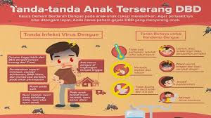 Gejala demam berdarah dengue, demam dengue atau yang dikenal secara umum oleh masyarakat indonesia sebagai demam berdarah merupakan penyakit yang dapat membuat suhu tubuh penderita menjadi sangat tinggi dan pada umumnya disertai sakit kepala, nyeri sendi, otot, dan. Https Www Upbatam Ac Id Berita Full 821