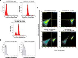 Other patents may protect both the products listed and other products commercialized by vericel corporation. Disrupting Tumor Onset And Growth Via Selective Cell Tagging Sect Therapy Science Advances