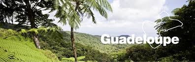 Guadalupe mountains national park tourism: Natur Auf Guadeloupe Das Karibik Magazin