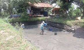 Oleh karena itu, apabila dalam cara membuat filter kolam ikan koi perlu memperhatikan seperti pada habitat aslinya.perlu diperhatikan juga jika kolam ikan koi haruslah bersi agar ikan koi mendapatkan suplai oksigen tang cukup di. Cara Membuat Kolam Tanah Untuk Budidaya Ikan Binatang Peliharaan