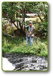 Hat Creek Resort Rv Park Great Hat Creek Fishing Camping Rv Parks Cabin Camping California Travel