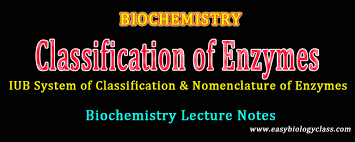 Classification Of Enzymes Lecture Notes Easy Biology Class In 2020 Lectures Notes Lecture Biochemistry