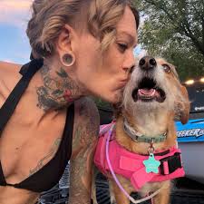 A Friendly Reminder 🐢 A 100+ pound Male Sulcata is monumentally different  to house than a hatchling, yearling or juvenile. They require a large,  fully secured enclosure with a sizable heated shed/barn/house